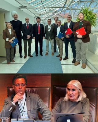Imagen en miniatura
